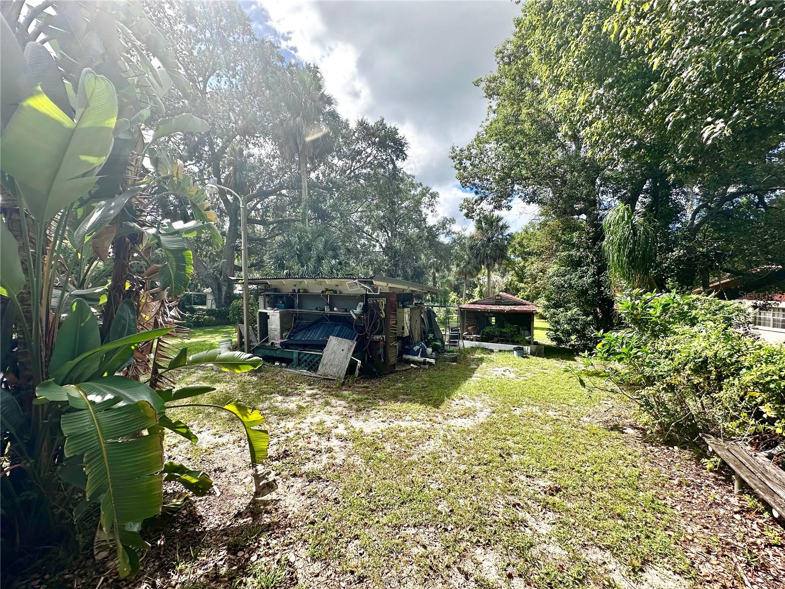 MOUNT DORA - Residential Lease