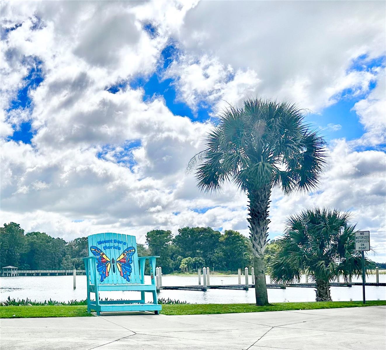 MOUNT DORA - Residential Lease