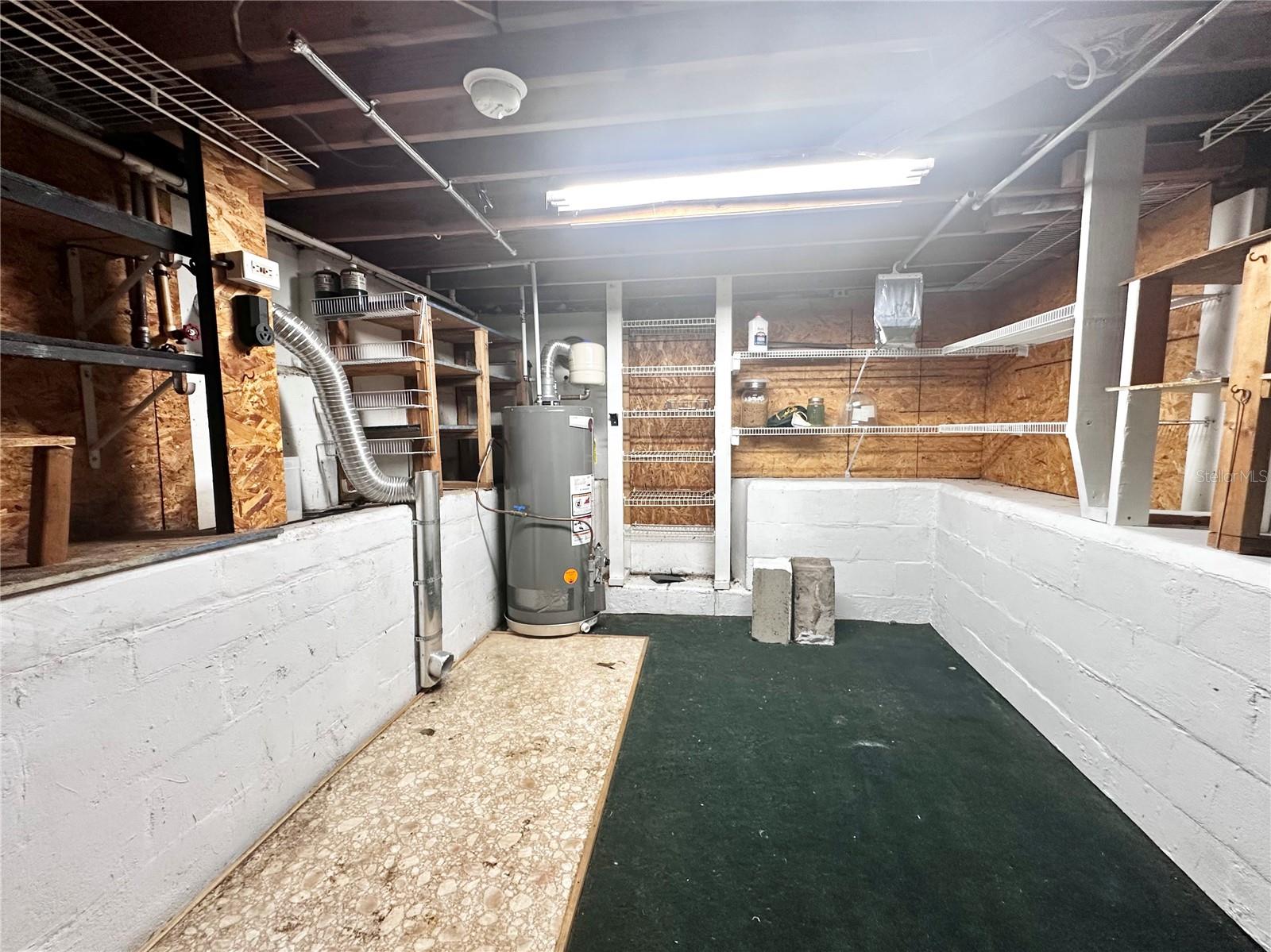 MOUNT DORA - Residential Lease