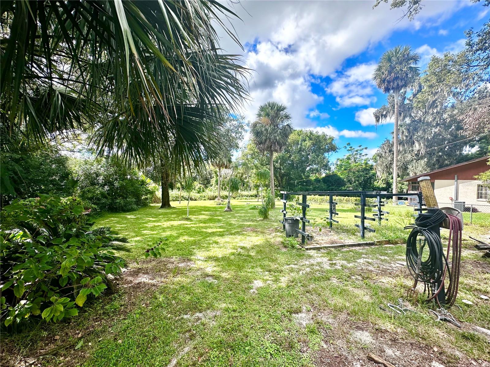 MOUNT DORA - Residential Lease