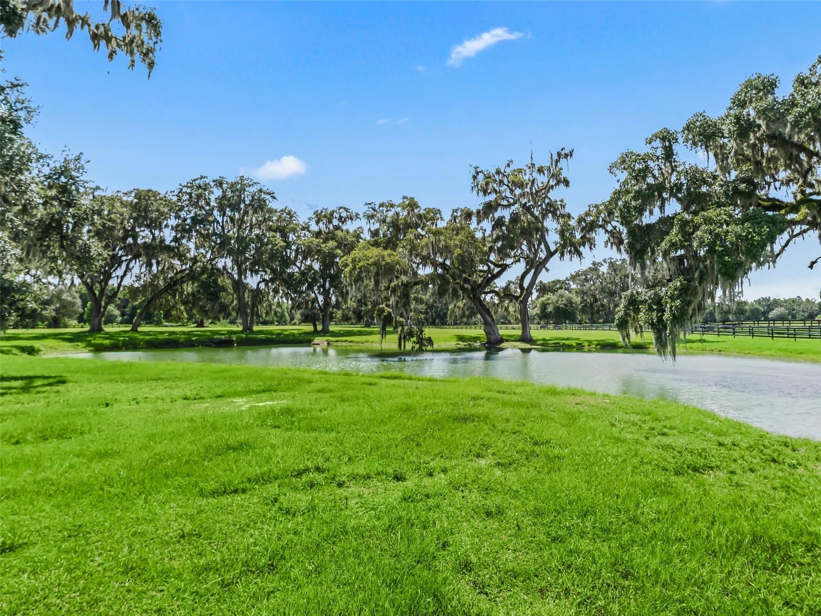 BEL LAGO SOUTH HAMLET - Farm