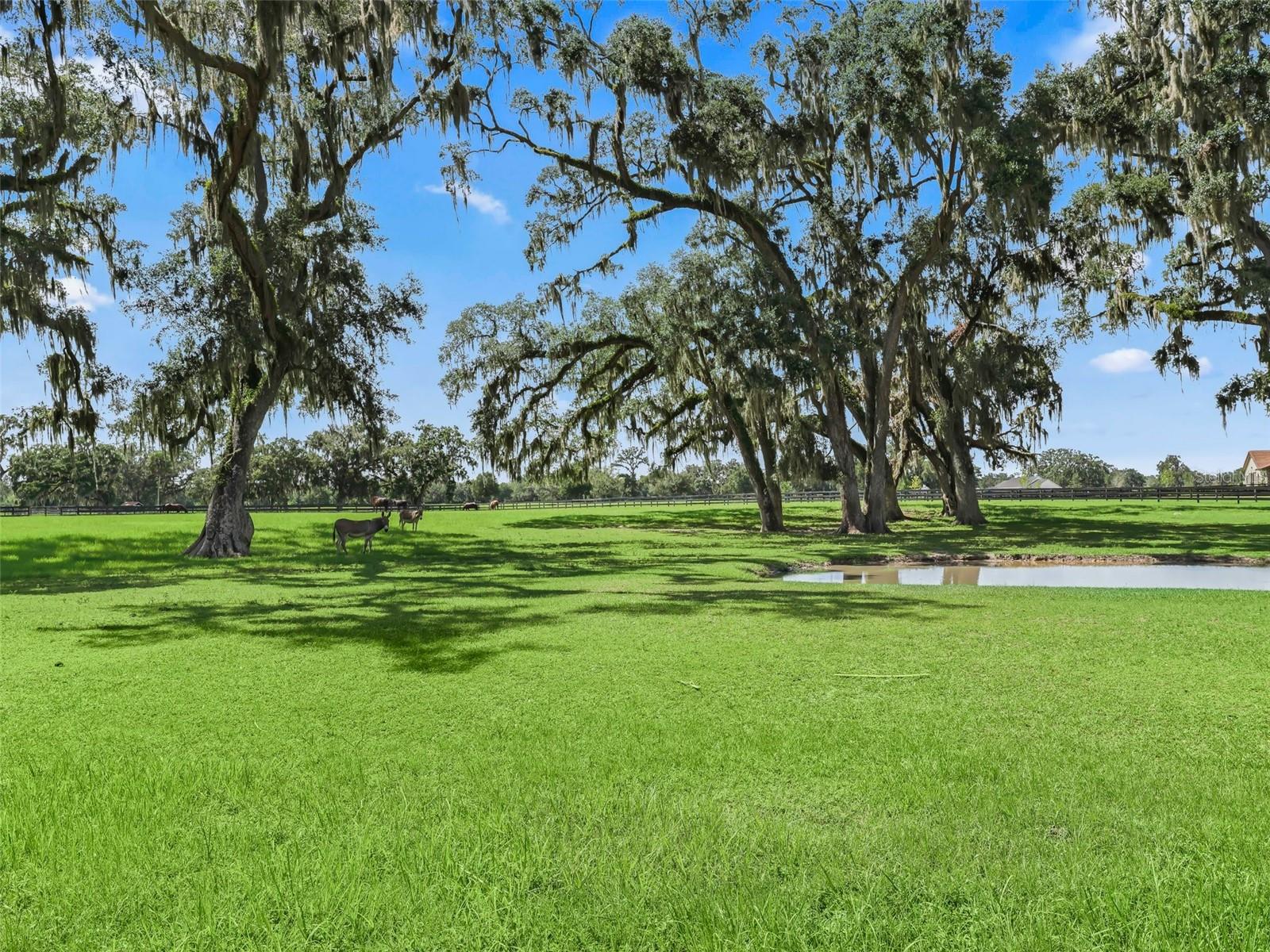 BEL LAGO SOUTH HAMLET - Farm