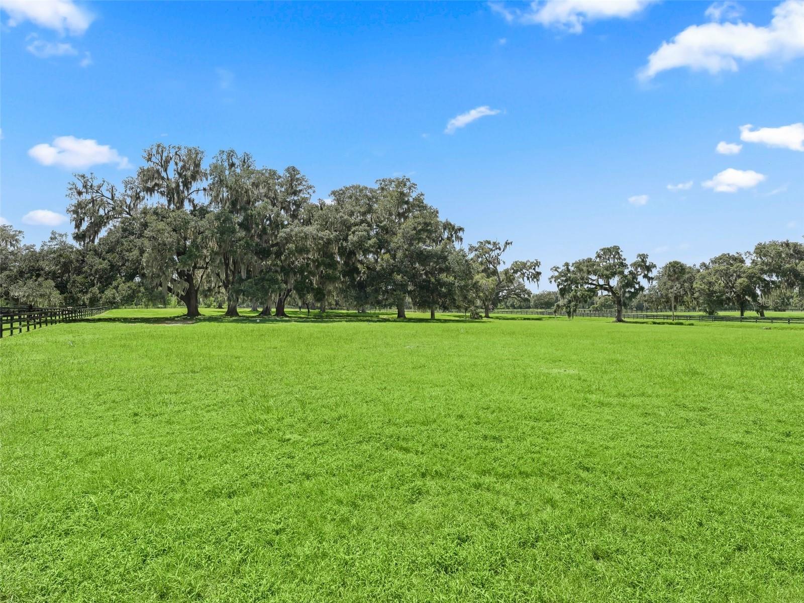 BEL LAGO SOUTH HAMLET - Farm