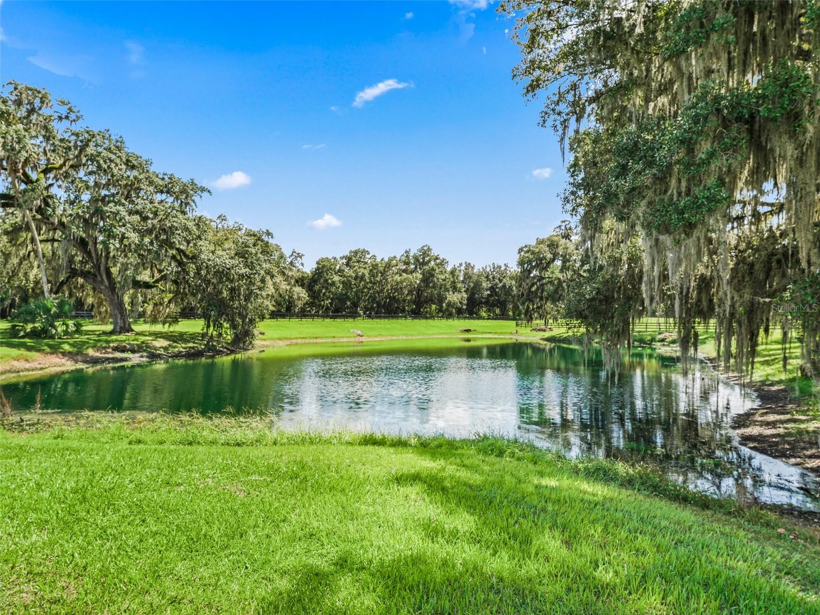 BEL LAGO SOUTH HAMLET - Farm