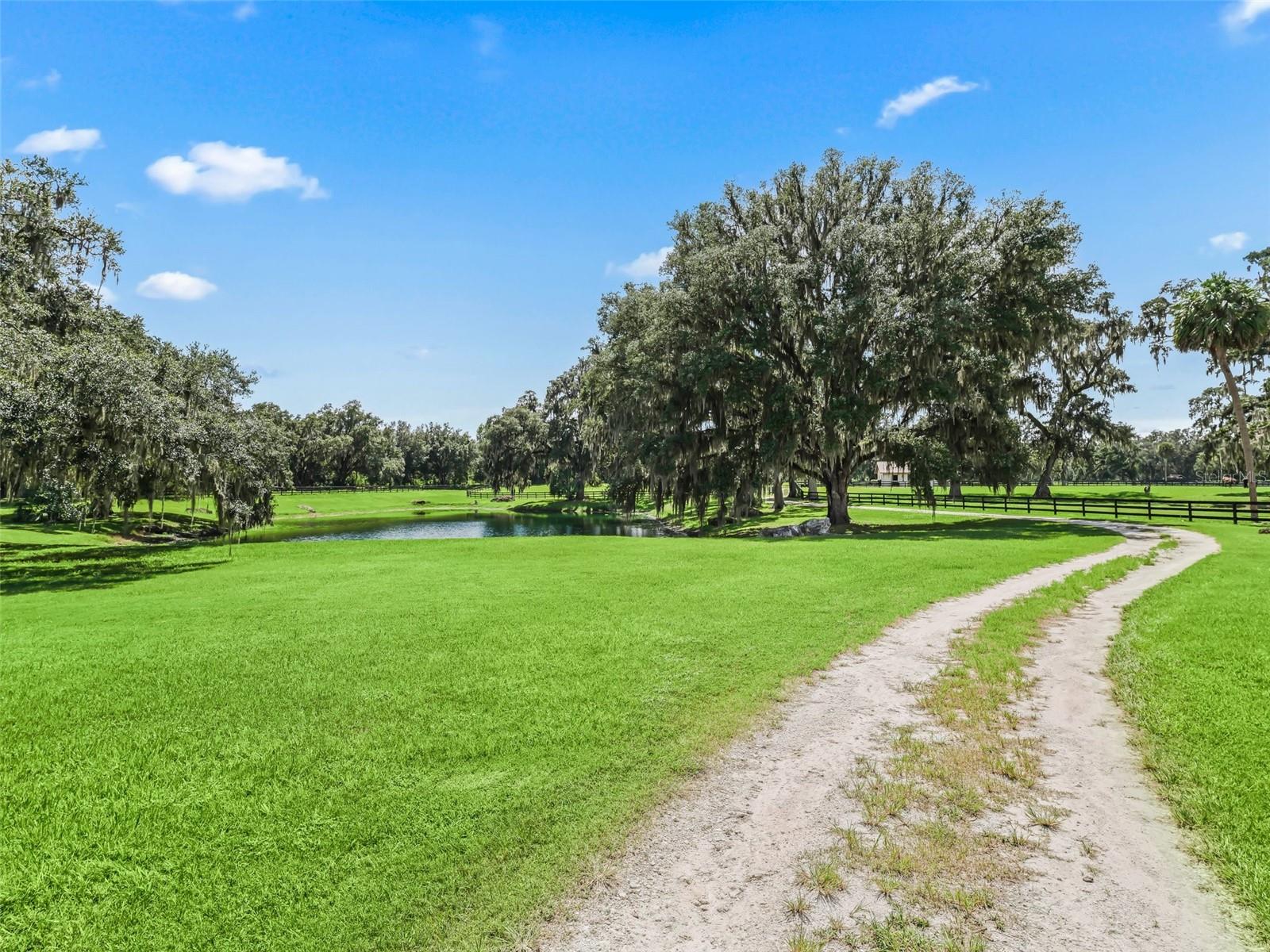BEL LAGO SOUTH HAMLET - Farm