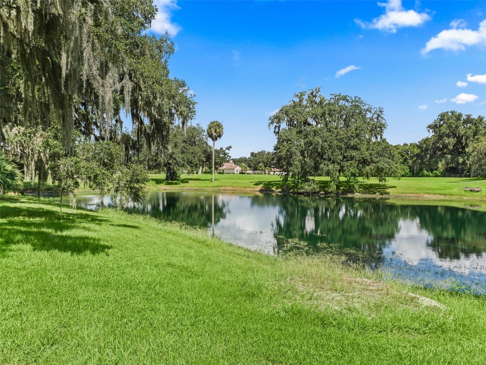 BEL LAGO SOUTH HAMLET - Farm