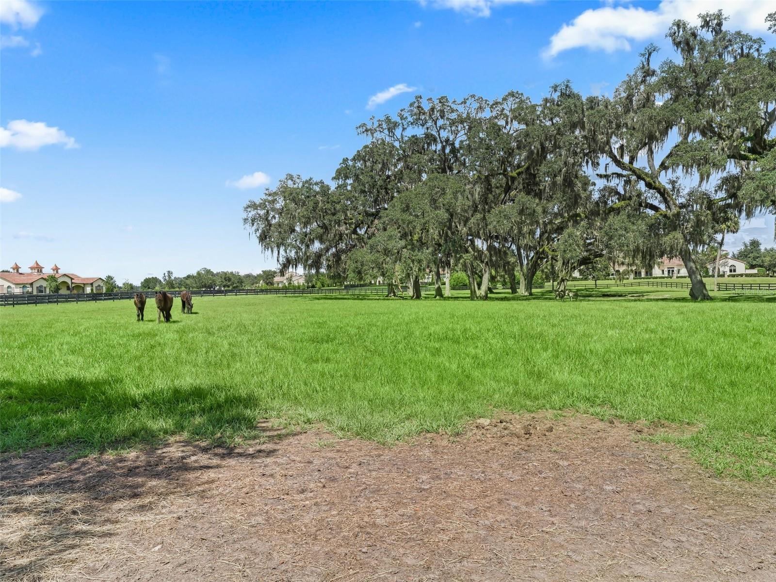 BEL LAGO SOUTH HAMLET - Farm