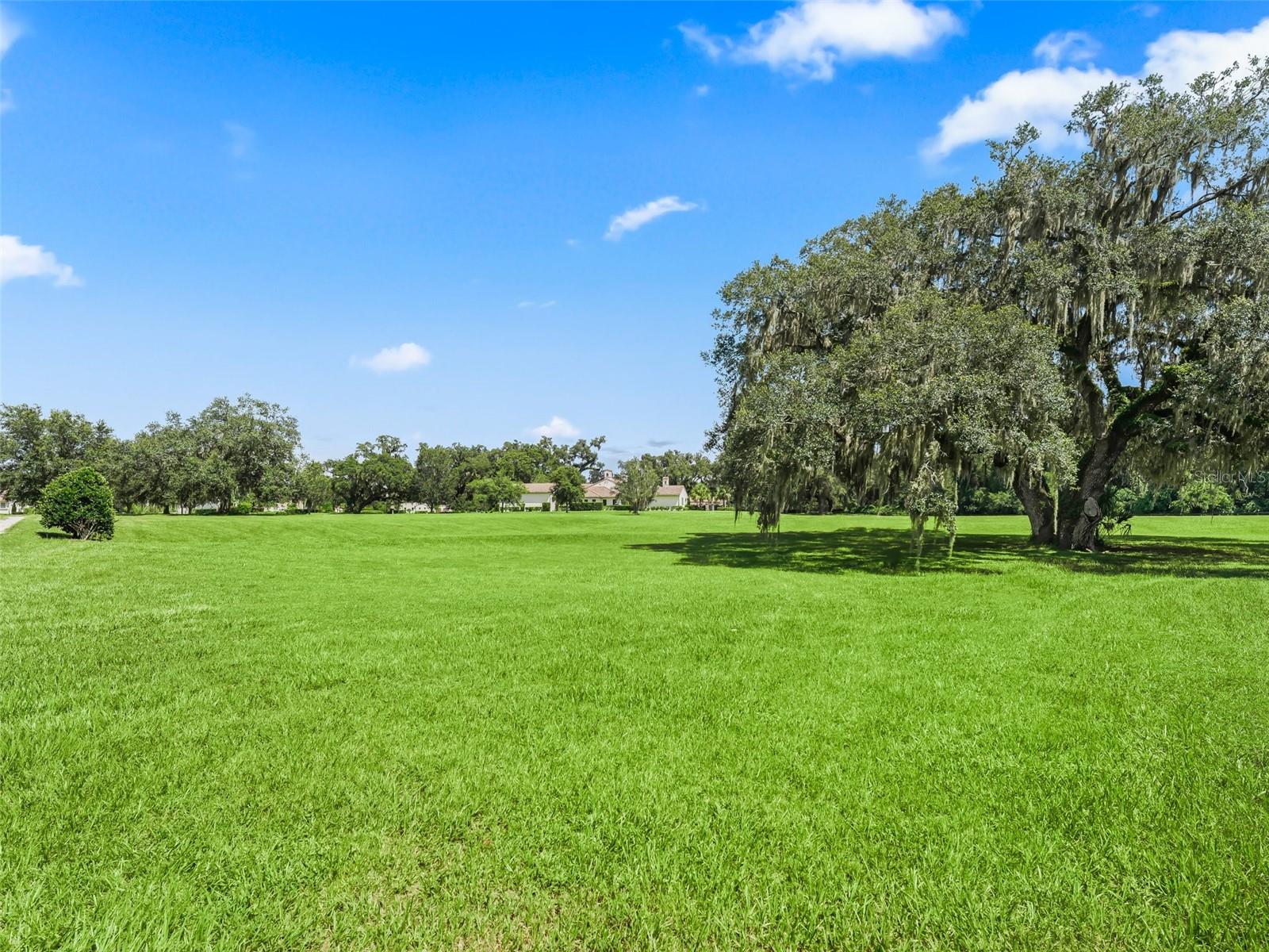 BEL LAGO SOUTH HAMLET - Farm