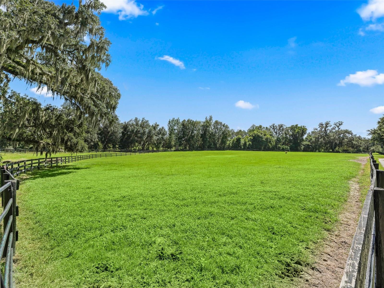 BEL LAGO SOUTH HAMLET - Farm