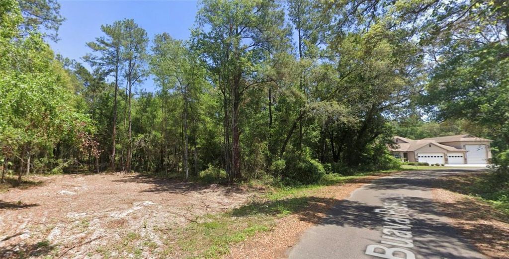 Photo of 19 Guava Pass Lane, Ocklawaha, FL 32179 (MLS # OM712424)
