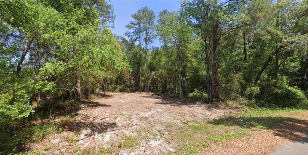 Photo of 19 Guava Pass Lane, Ocklawaha, FL 32179 (MLS # OM712424)