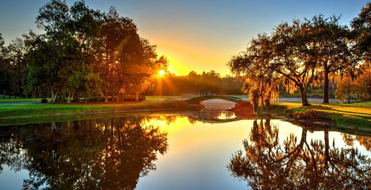 MONTROSE AT INNISBROOK - Residential