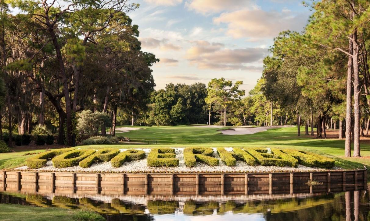 MONTROSE AT INNISBROOK - Residential