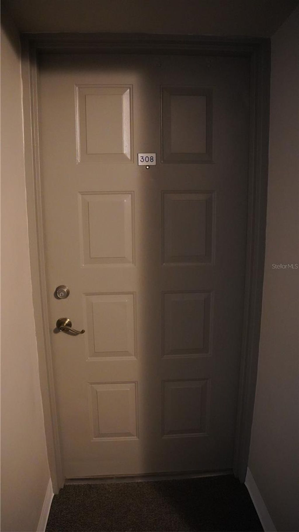 Photo of 4411 Shady Terrace Lane #308, Tampa, FL 33613 (MLS # TB8385492)