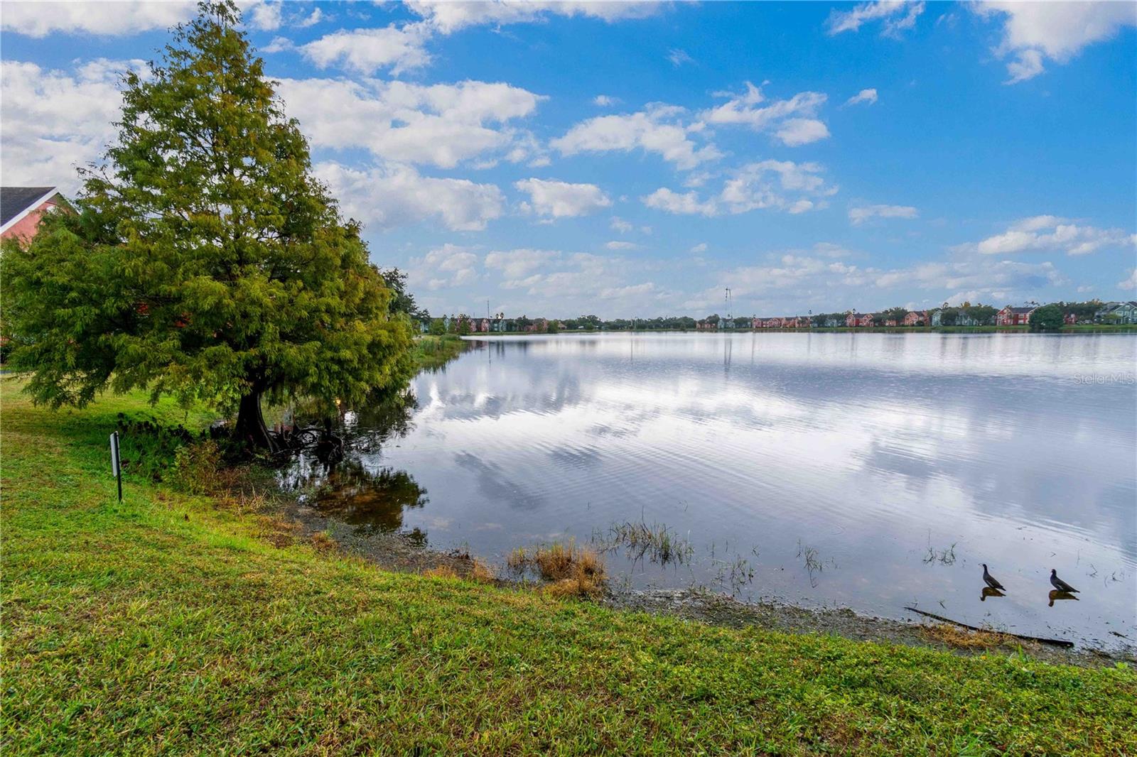 LAKE CHASE CONDO - Residential