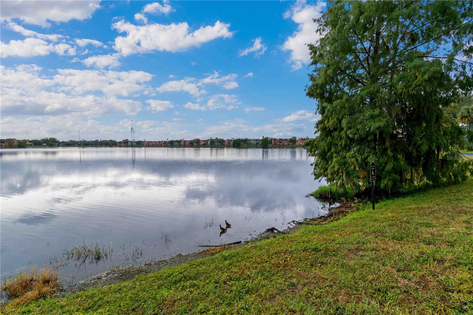 LAKE CHASE CONDO - Residential