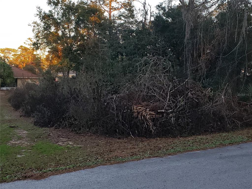 SILVER SPGS SHORES #7 - Land