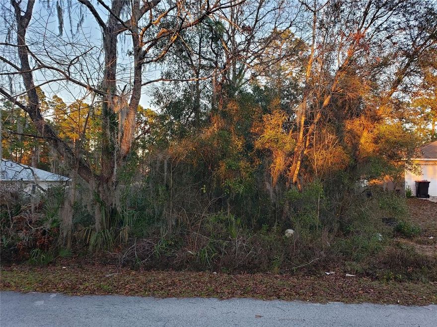 A fantastic homesite located in an established neighborhood in Silver Springs Shores, with 80 feet of street frontage between 2 lovely homes. Conveniently located just minutes from healthcare, dining, shops, Walmart, and just about anything else you could need. No HOA!
