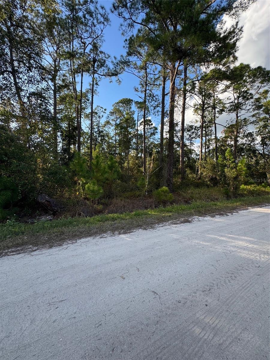 DAYTONA PARK ESTATES SEC E - Land