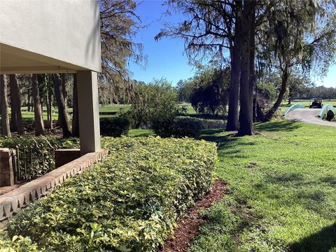 A home in PALM HARBOR