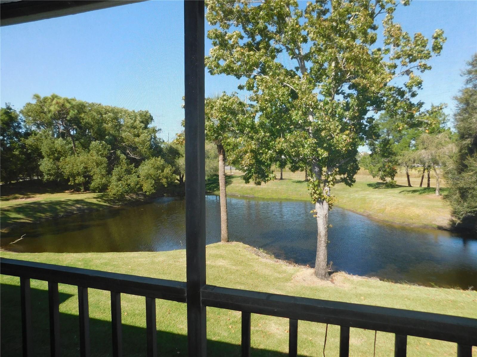 MEADOWS CONDO AT EAST LAKE WOODLANDS - Residential Lease