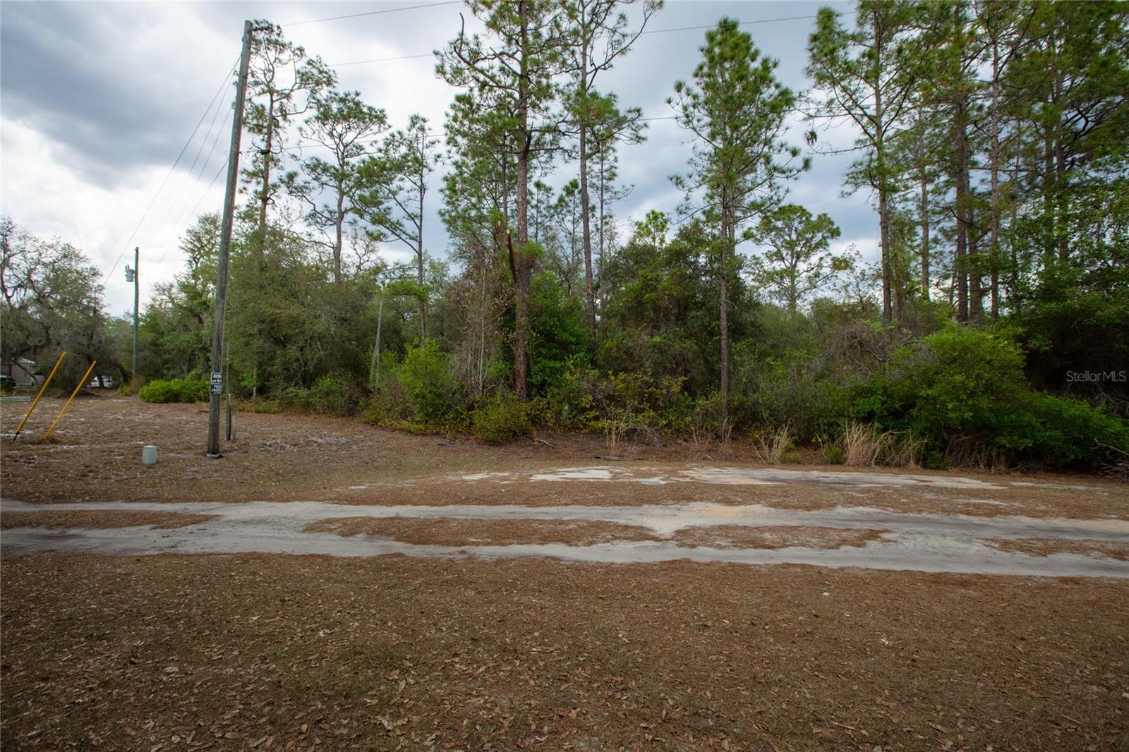 BIG TREE LAKES SEC C - Land