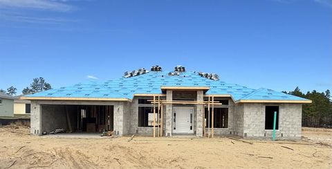 A home in CITRUS SPRINGS