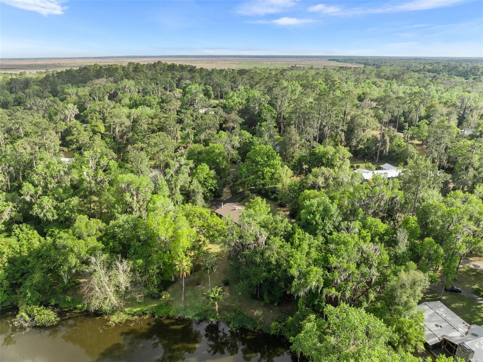 CLINCH GRANT D L - Residential