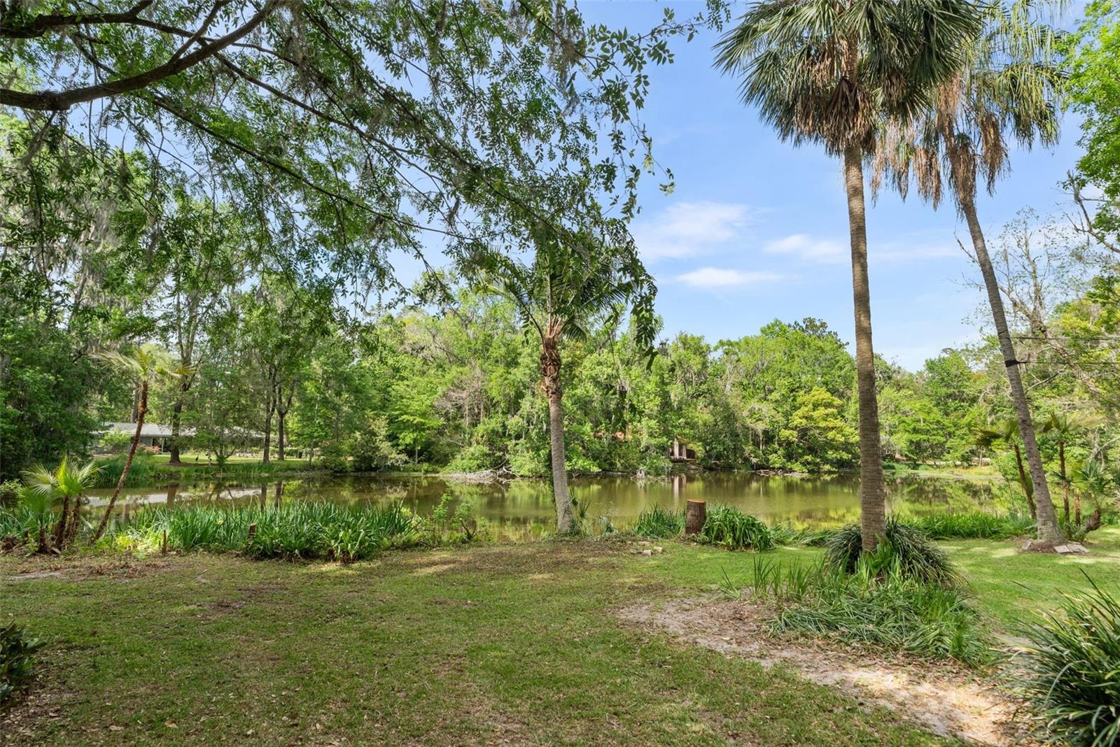 CLINCH GRANT D L - Residential