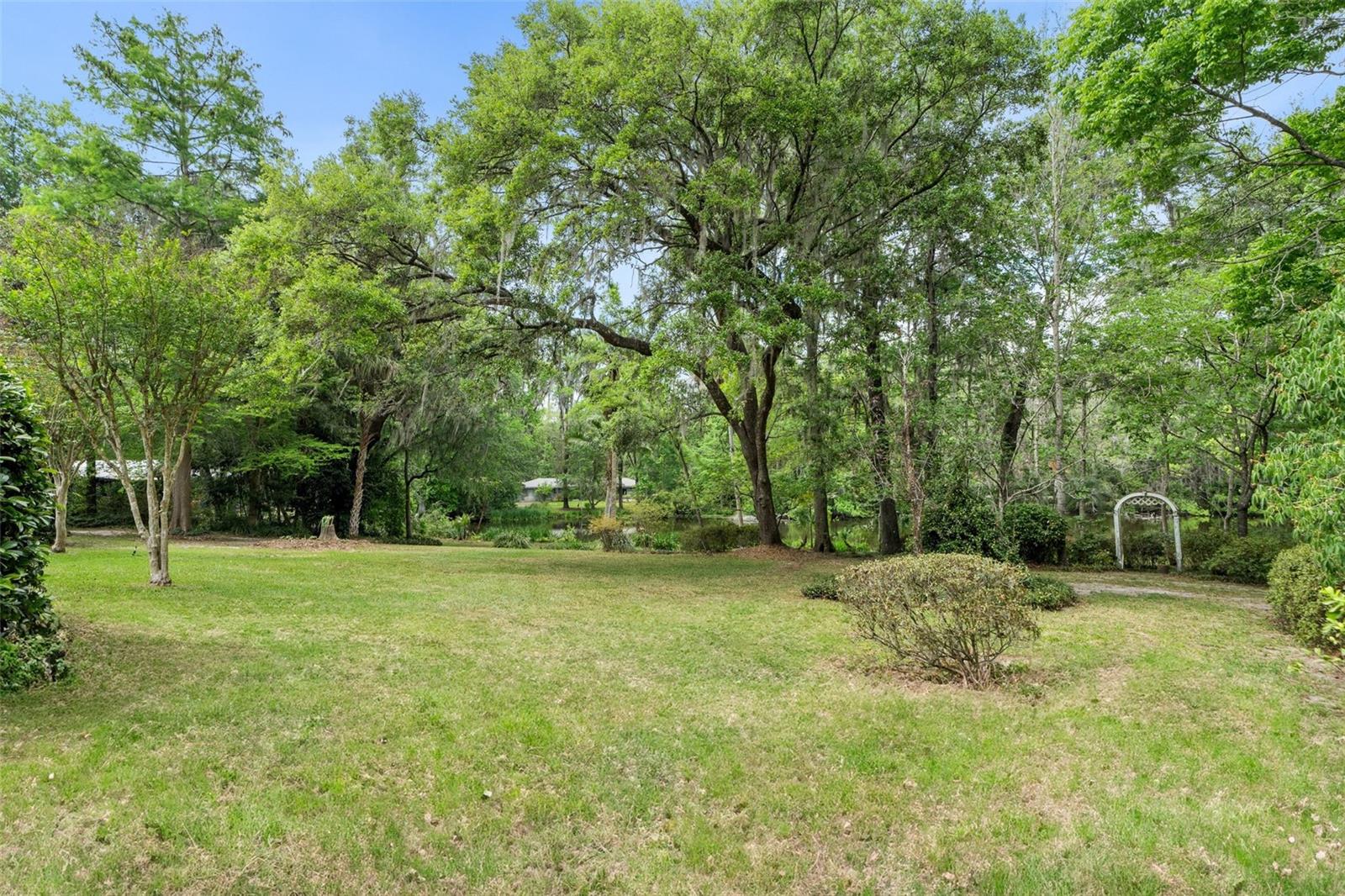 CLINCH GRANT D L - Residential