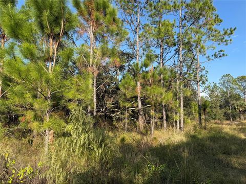 RIVER RANCH BOULEVARD LAKE WALES FL 33898