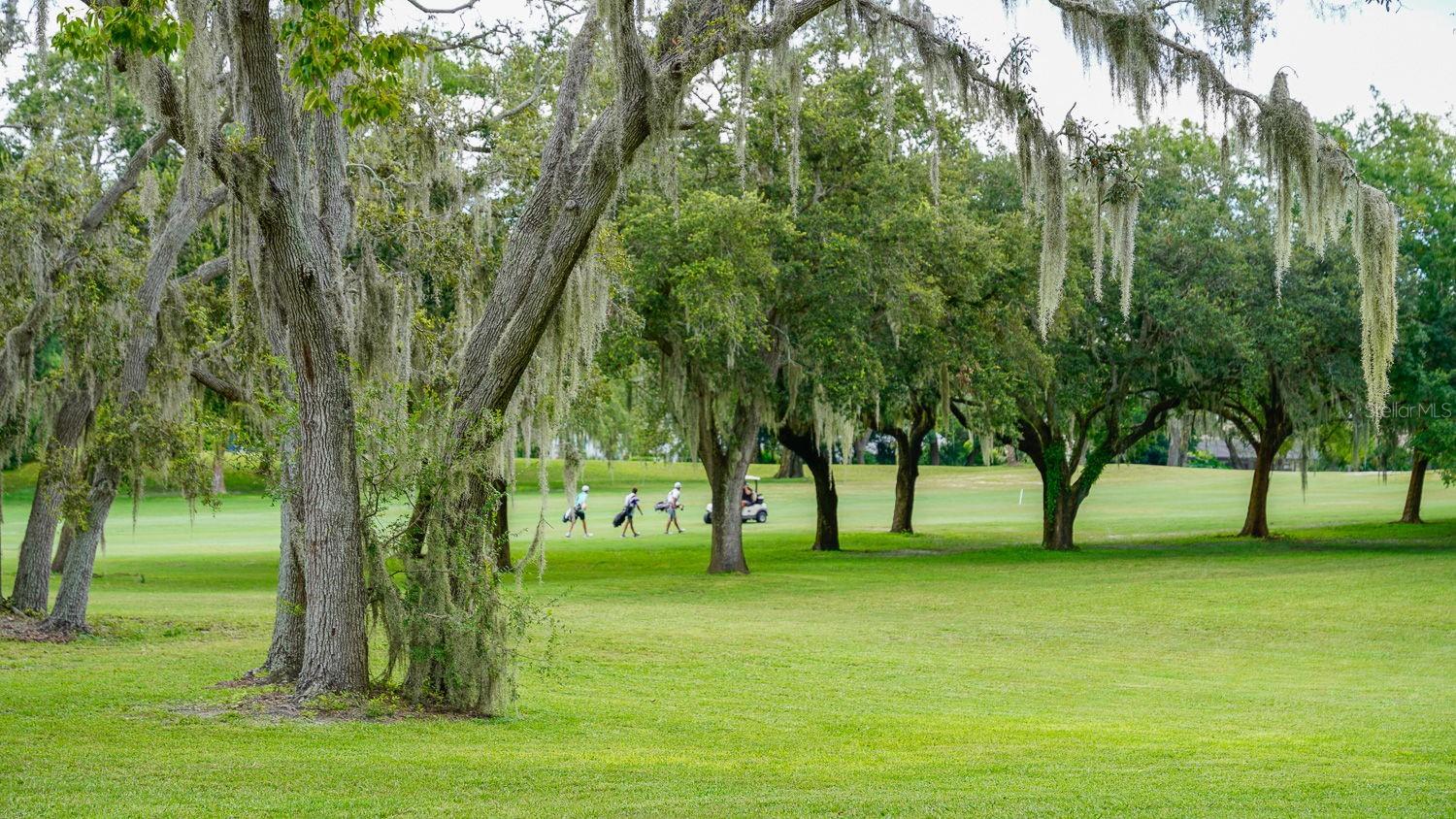 GOLF CLUB VILLAGE - Residential