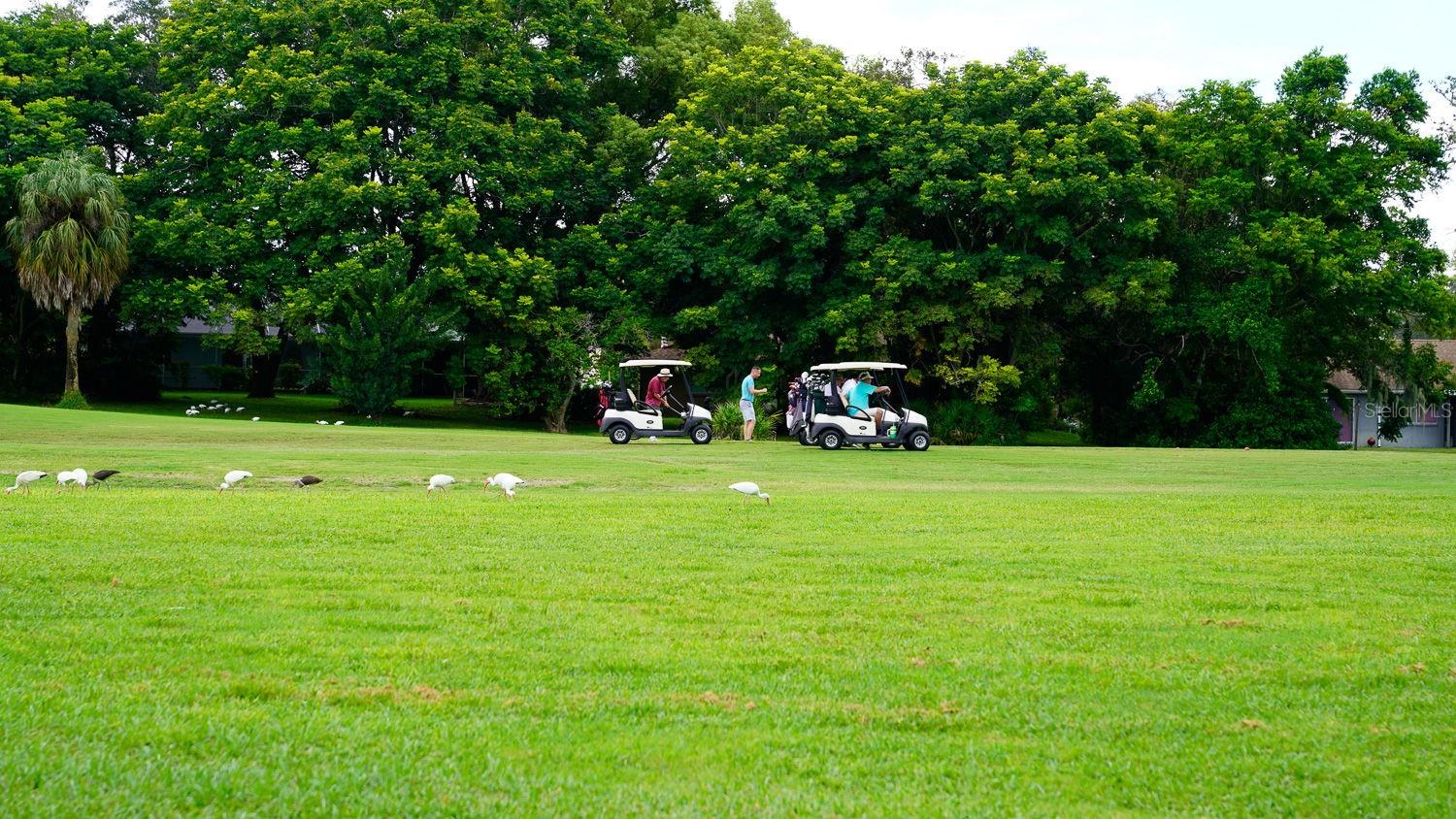 GOLF CLUB VILLAGE - Residential