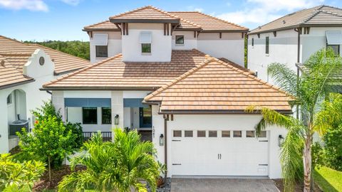 1041 SEAGRAPE DRIVE RUSKIN FL 33570