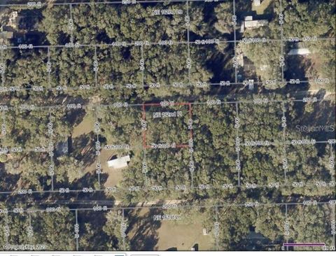 0 NE 162 PLACE CITRA FL 32113