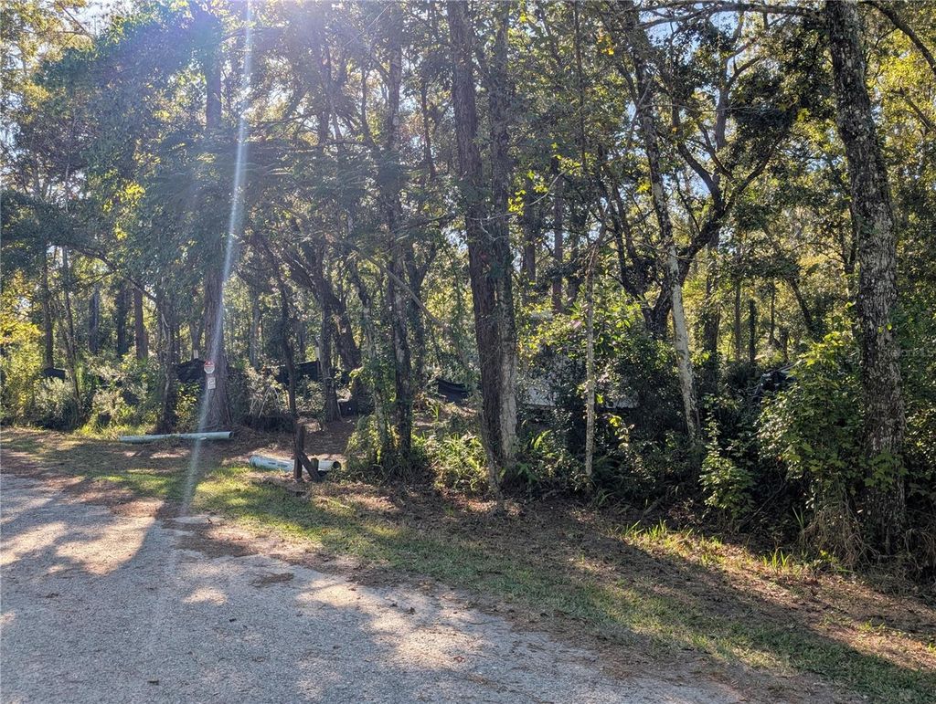 Photo of 11335 Tulane Street, New Port Richey, FL 34654 (MLS # TB8440363)