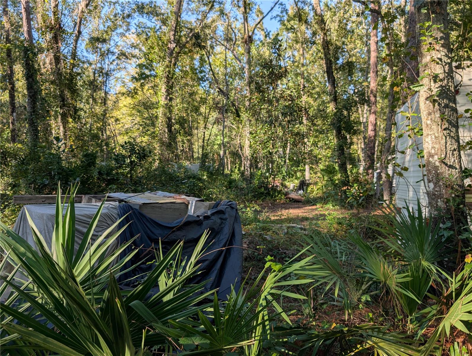 MOON LAKE ESTATES - Land