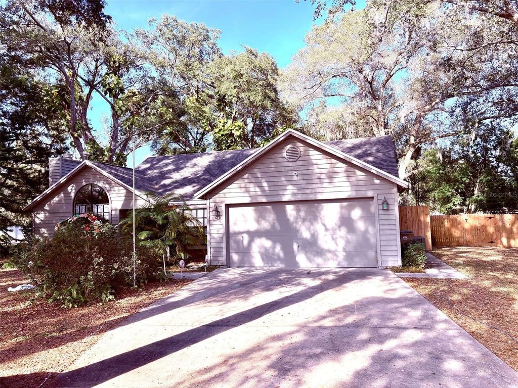 Photo of 3909 Lake Forest Street, Mount Dora, FL 32757 (MLS # O6375149)