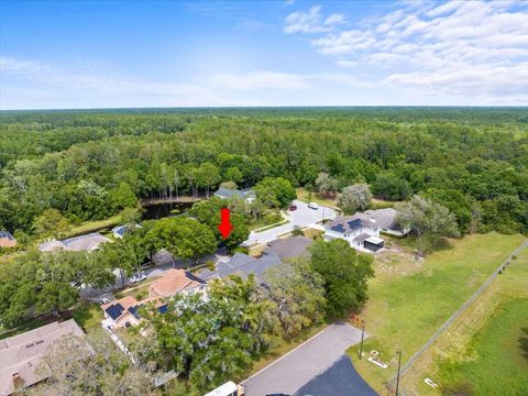 A home in PALM HARBOR