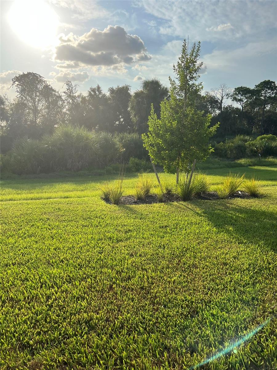 TALON PRESERVE PH 4 - Residential Lease