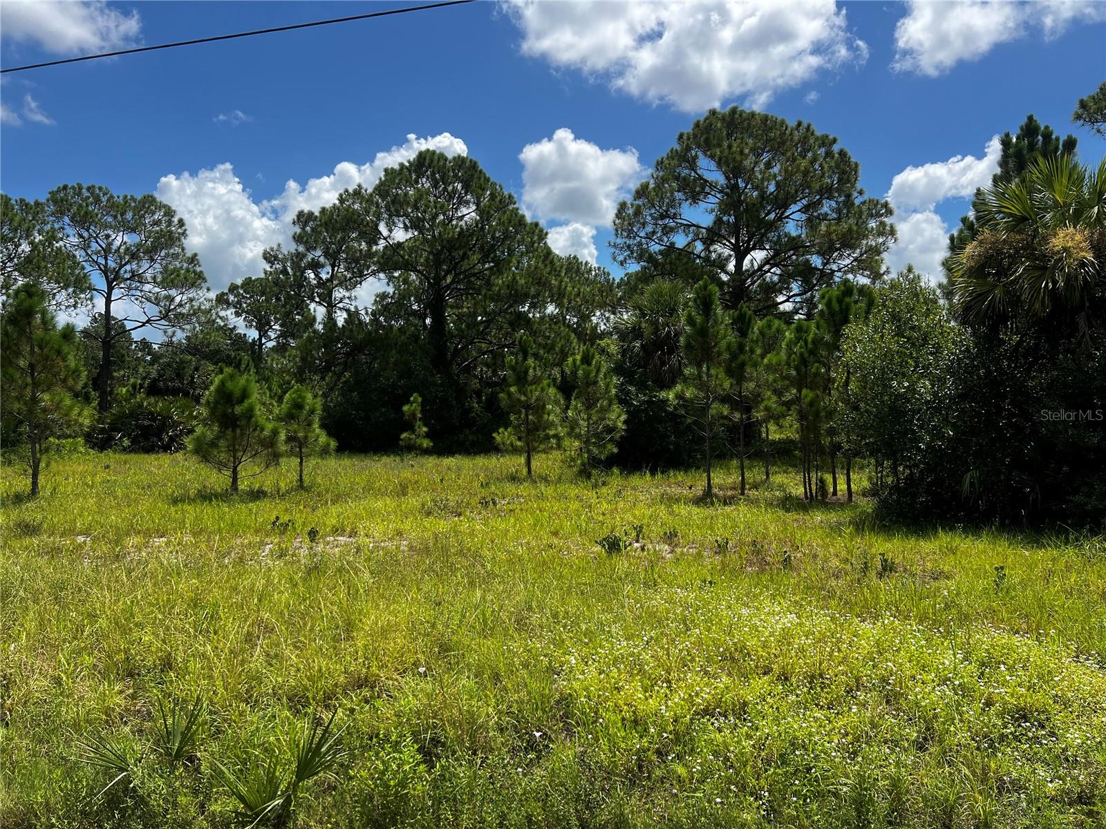 BUILD YOUR DREAM HOME OR RANCH ON THIS BEAUTIFUL 1.25 ACRE LOT IN MONTURA RANCHES! LOCATED ON A QUIET STREET, THIS PROPERTY OFFERS PLENTY OF SPACE FOR YOUR HOME, TOYS, AND ANIMALS—YES, LIVESTOCK IS ALLOWED! ENJOY COUNTRY LIVING WITH NO HOA AND EASY ACCESS TO RECREATIONAL AREAS, PARKS, AND NATURE TRAILS. PERFECT FOR A WEEKEND GETAWAY OR PERMANENT RESIDENCE. DON’T MISS THIS OPPORTUNITY TO OWN LAND IN THIS GROWING COMMUNITY! ANIMALS ARE ALLOWED, VERIFY WITH THE COUNTY.