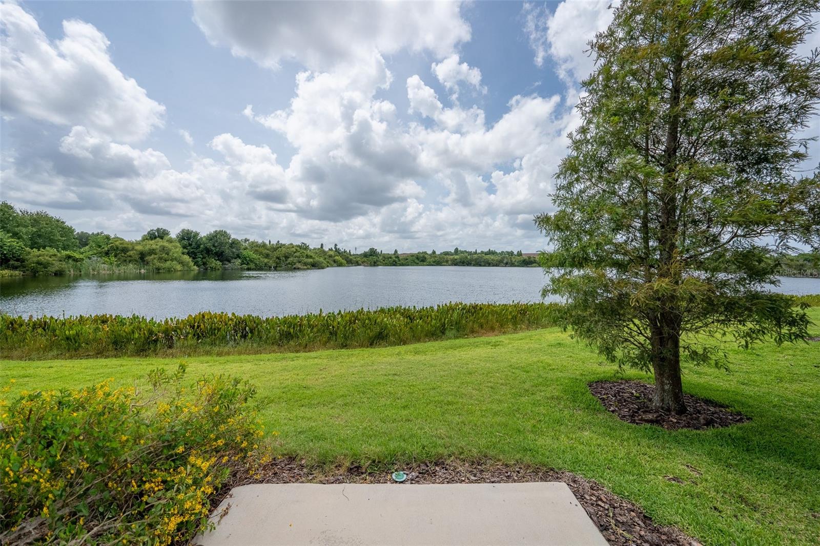 LAKE BRANDON PRCL 113 - Residential Lease