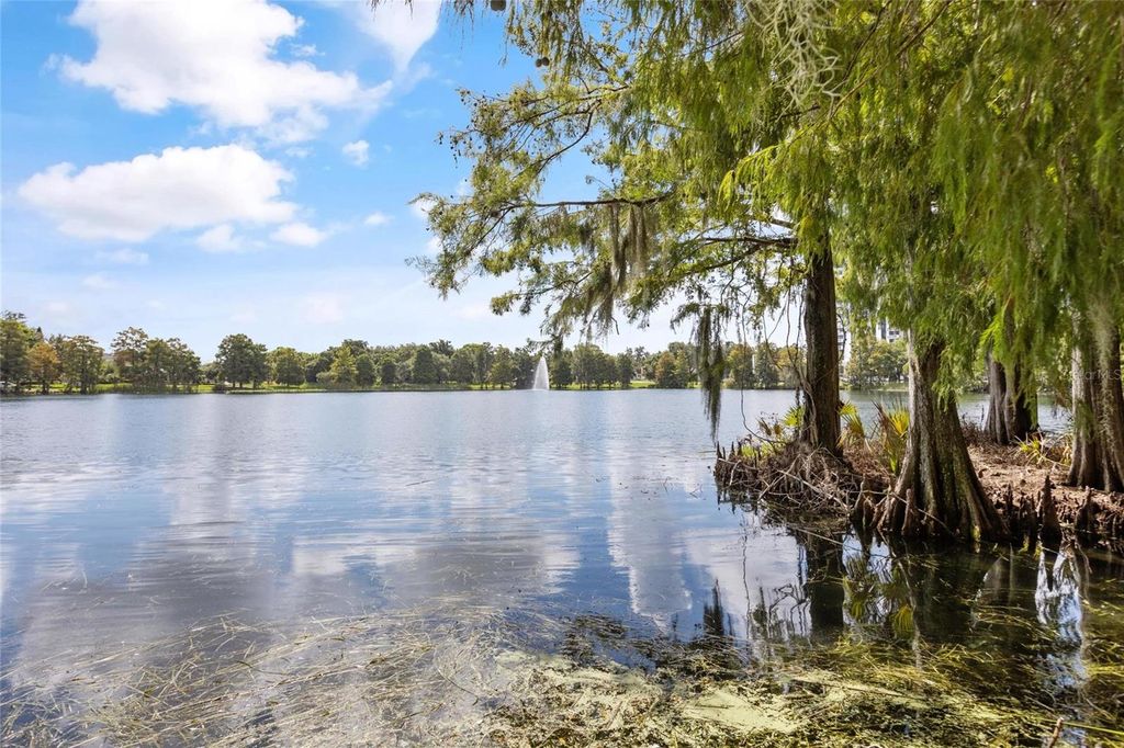 Photo of 758 Highland Avenue #13, Orlando, FL 32803 (MLS # O6372638)