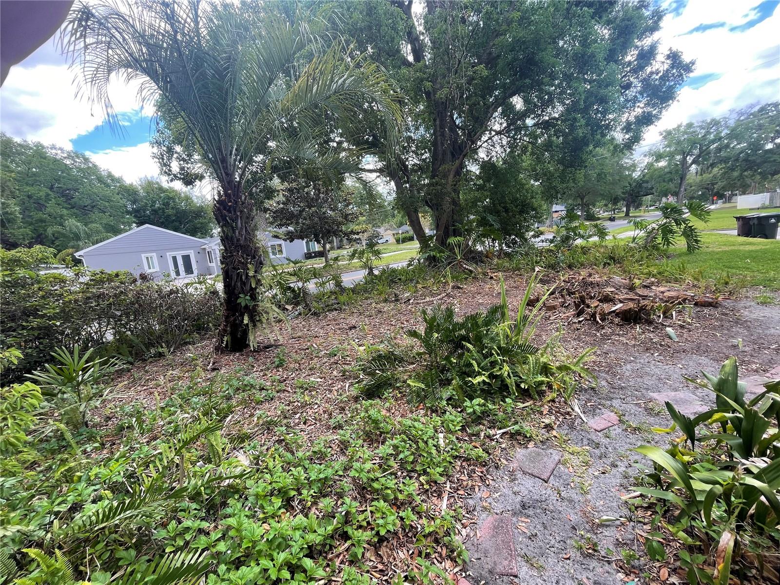 FERN COURT SUB - Residential