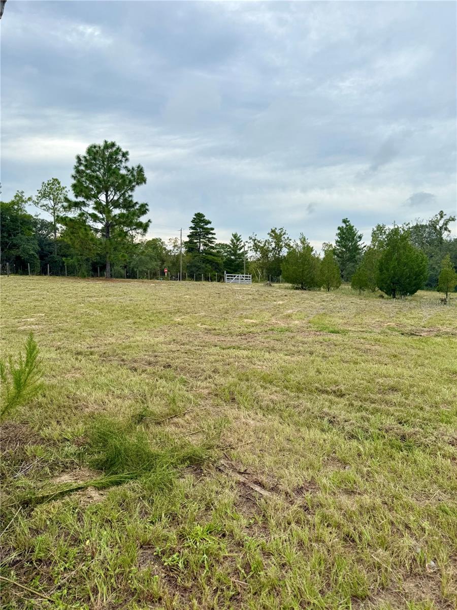 HILLS/FLORIDA WOODS - Residential
