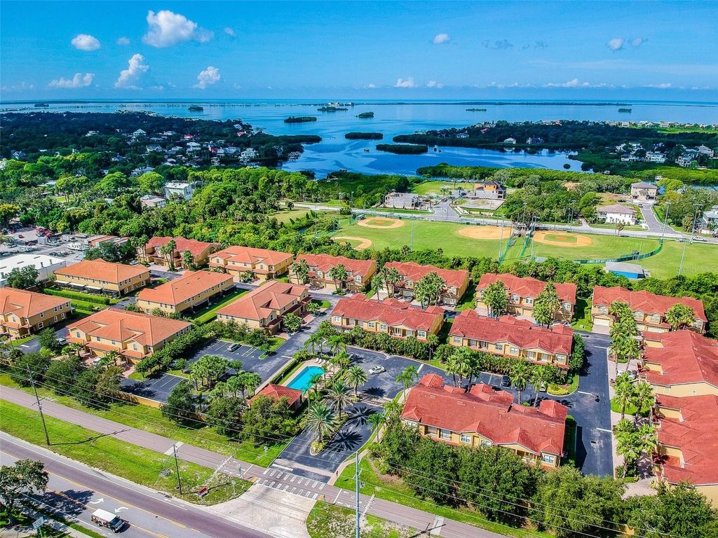 Photo of 933 Moscato Pl, Palm Harbor, FL 34683 (MLS # TB8410135)