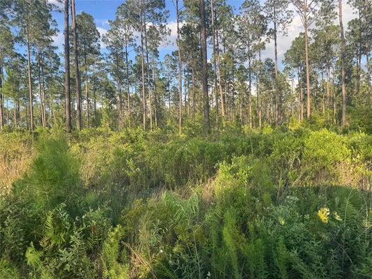185 AVE NW, STARKE, FL 32091 - Image 30f9508acaee2f2a8a9bfbaf3407278a/264285042