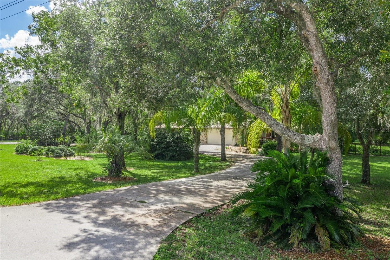 BLUE JORDAN FOREST - Residential