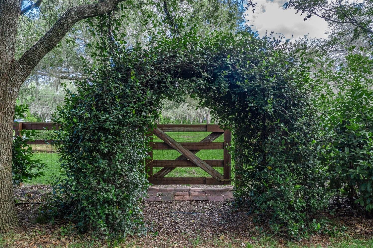 BLUE JORDAN FOREST - Residential