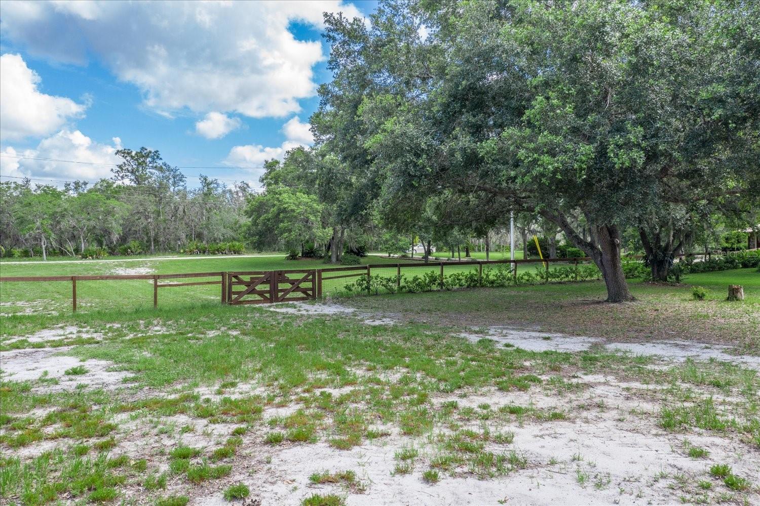 BLUE JORDAN FOREST - Residential